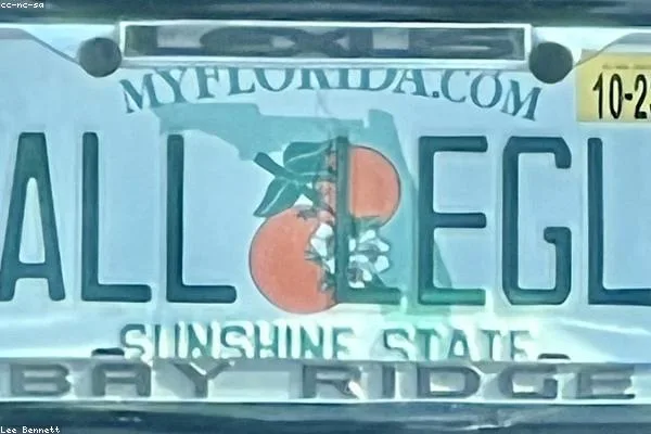 Private plate BM10 CAR